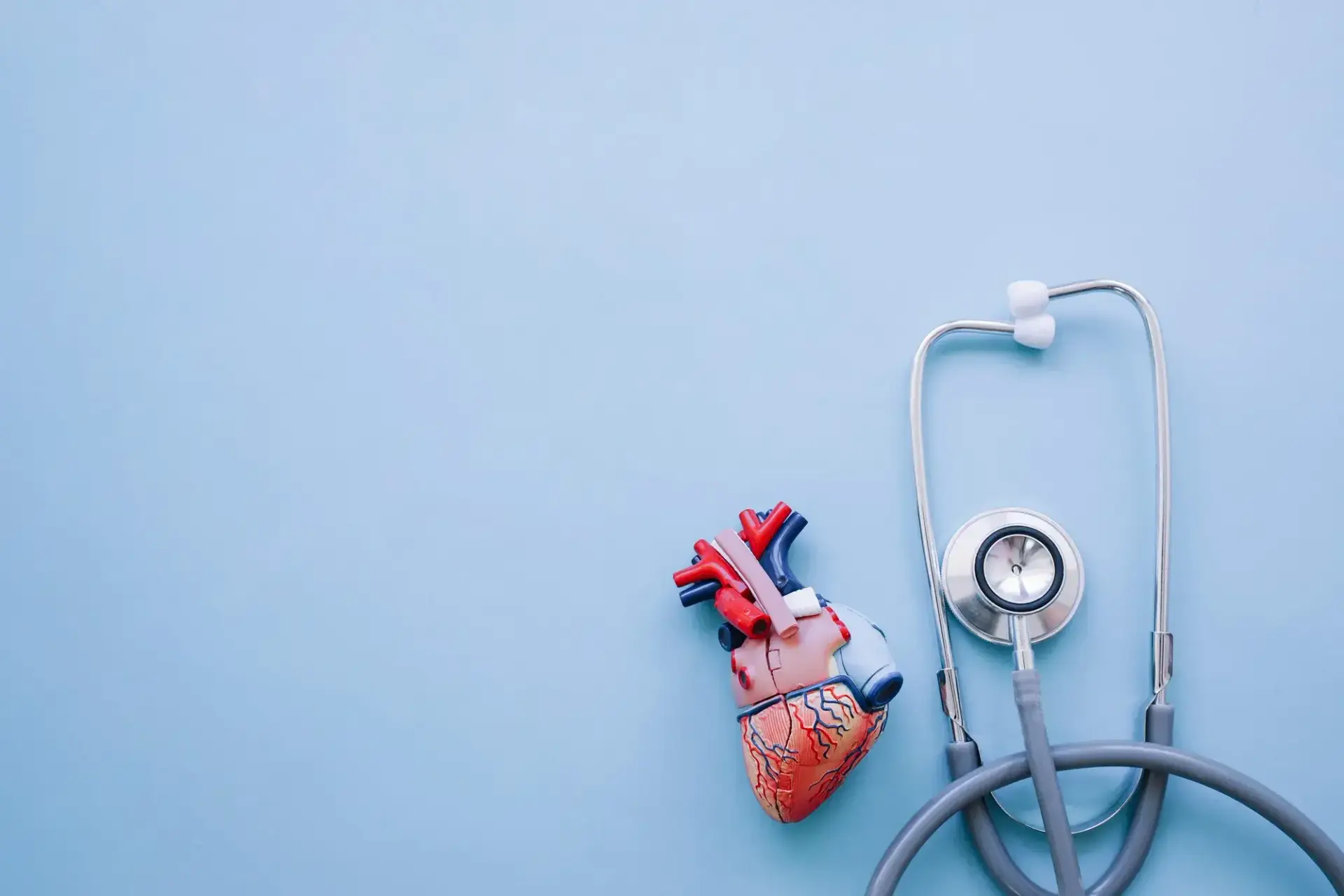 Best Countries For Heart Surgery & Cardio Vasular Care